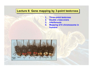 Lecture 6: Gene mapping by 3