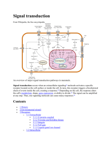 Signal transduction