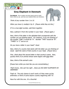 Grey Elephant in Denmark - Finance in the Classroom