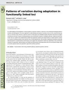 Patterns of variation during adaptation in