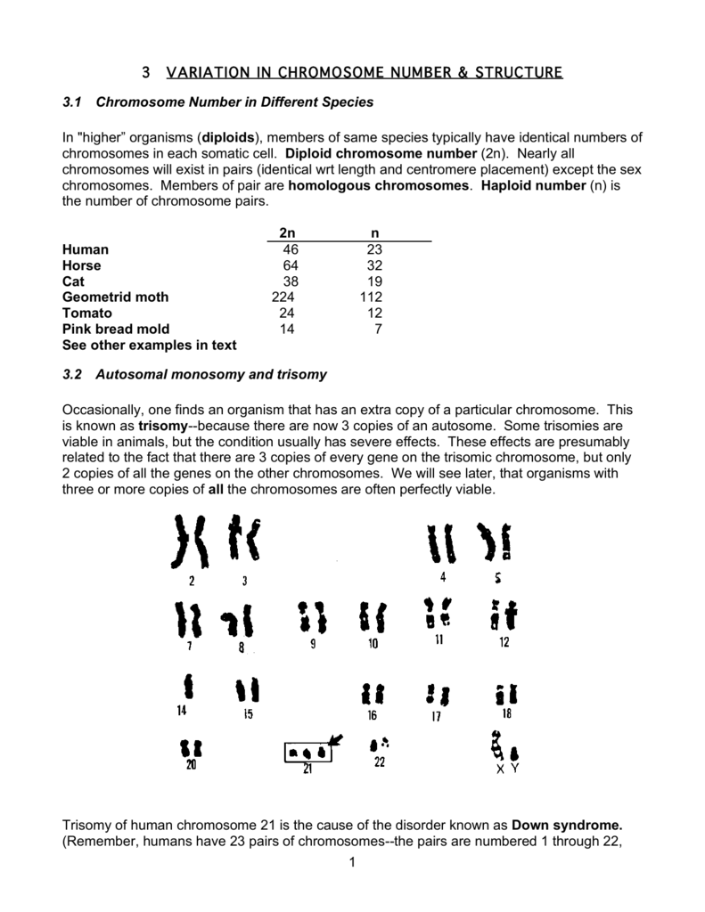 variation-in-chromosome-number-and-structure