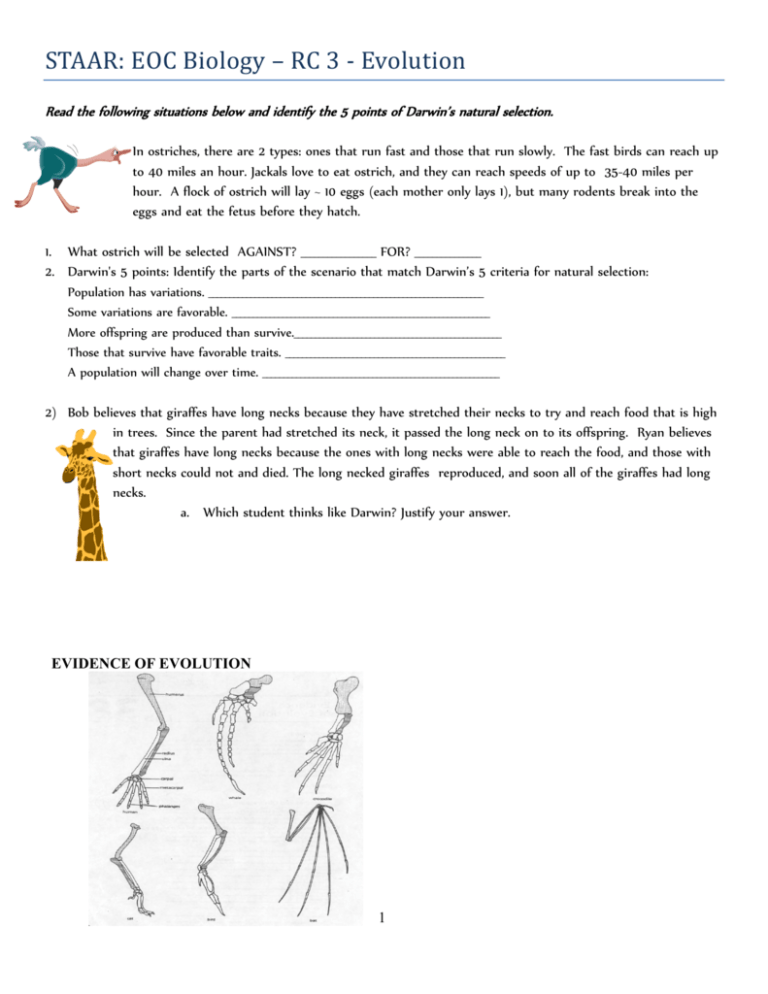 Darwin s Natural Selection Worksheet Pdf