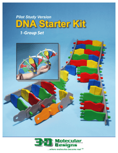 DNA Replication and Transcription Activity