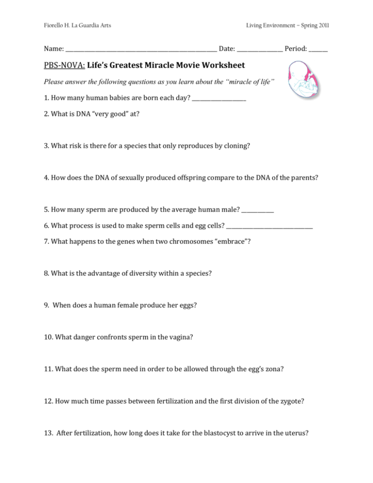Life s Greatest Miracle Worksheet Answers Studying Worksheets