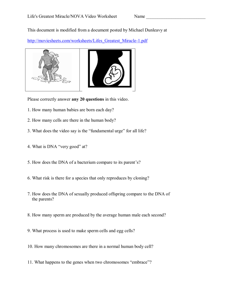 life-s-greatest-miracle-worksheet-answers