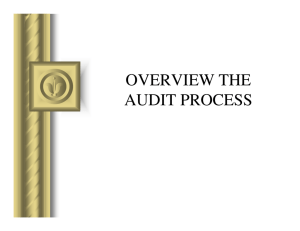 OVERVIEW THE AUDIT PROCESS