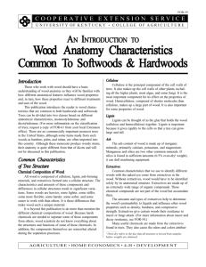 FOR-59: An Introduction to Wood Anatomy Characteristics Common