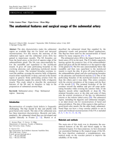 The anatomical features and surgical usage of the submental artery