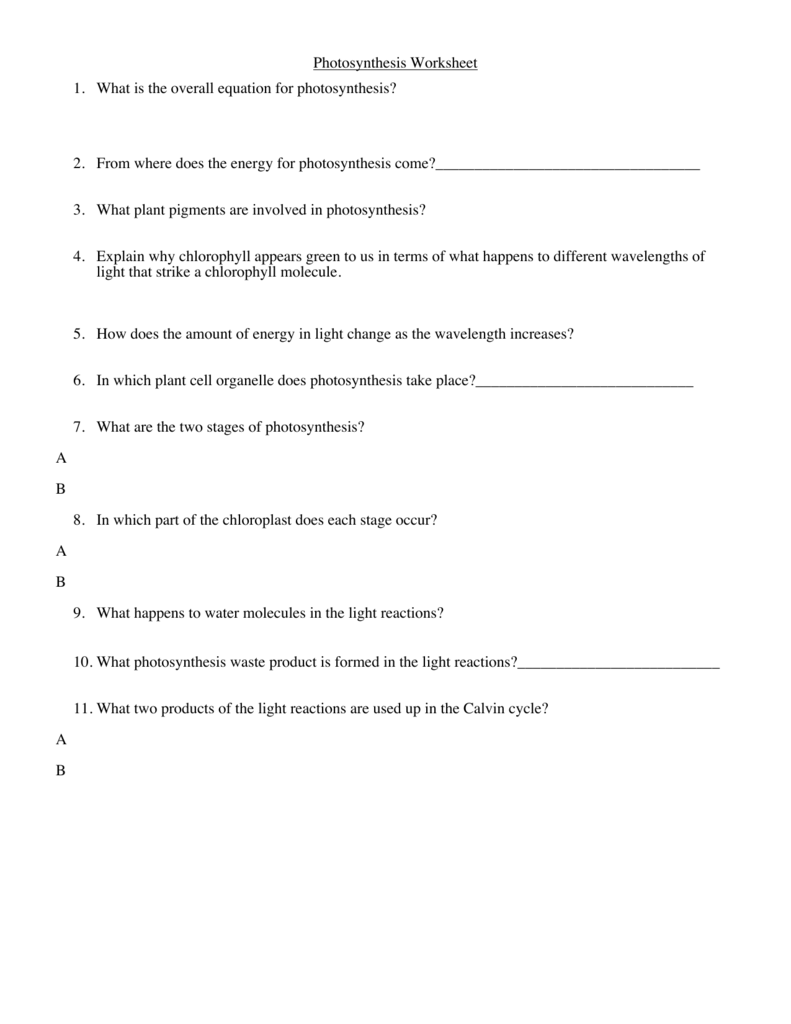 Ap Biology Photosynthesis Worksheet Answers Nidecmege