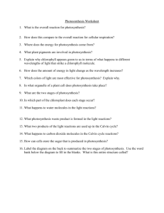 Photosynthesis Worksheet 1. What is the overall reaction for