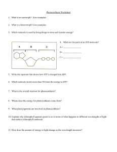 Photosynthesis Worksheet 7. What is the overall reaction for