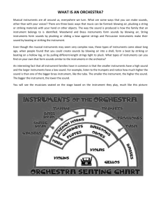 WHAT IS AN ORCHESTRA?