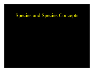 Species and Species Concepts