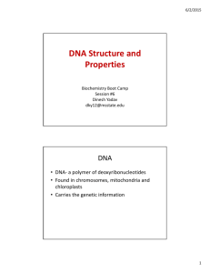 DNA Structure and Properties
