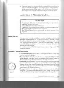 Laboratory 6: Molecular Biology