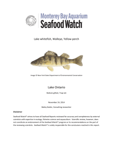 Great Lakes, Lake Ontario Seafood Watch Report