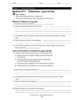 studylib.net - Essys, homework help, flashcards, research papers, book