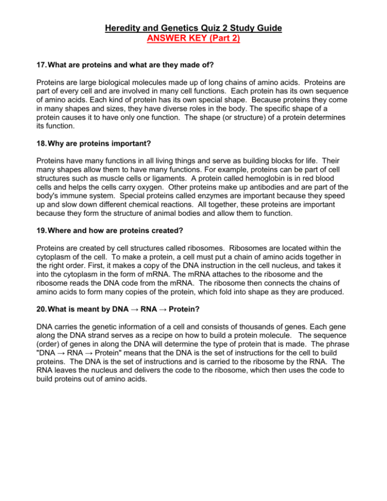 Heredity And Genetics Quiz 2 Study Guide ANSWER KEY Part 2 Heredity And Genetics Quiz 2 Study Guide ANSWER KEY Part 2