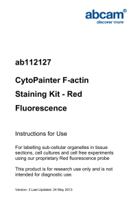 ab112127 CytoPainter F-actin Staining Kit - Red