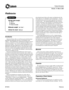 Phallotoxins