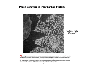 Phase Behavior in Iron/Carbon System
