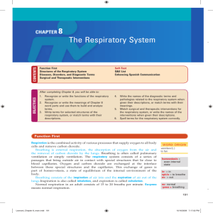 CHAPTER 8 The Respiratory System