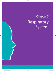 Chapter 5 Respiratory System
