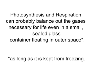 Photosynthesis and Respiration can probably balance out the gases