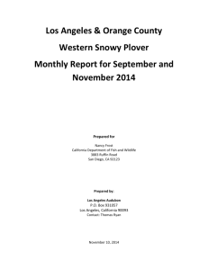 Snowy Plover Monthly Report for LA & Orange Counties
