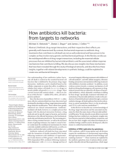 How antibiotics kill bacteria: from targets to networks