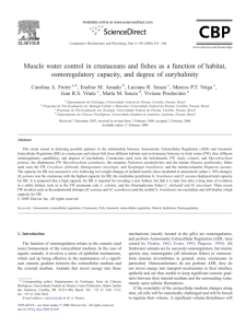 Muscle water control in crustaceans and fishes as a function of