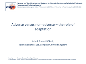 Adverse versus non-adverse – the role of adaptation