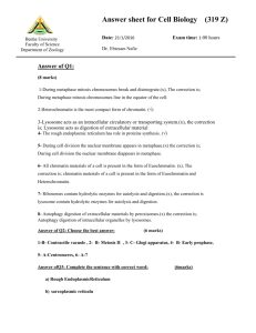 Answer sheet for Cell Biology (319 Z)