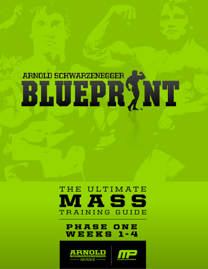 arnold blueprint to mass nutrition