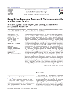 Quantitative Proteomic Analysis of Ribosome Assembly and