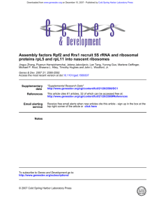 Assembly factors Rpf2 and Rrs1 recruit 5S rRNA and ribosomal