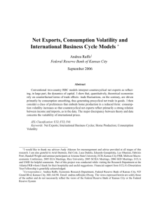 Net Exports, Consumption Volatility and International