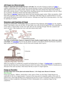All Fungi Are Heterotrophs Structure and Function of Fungi Fungi as