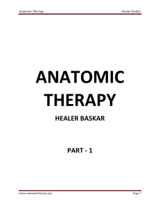 Anatomic Therapy Healer Baskar