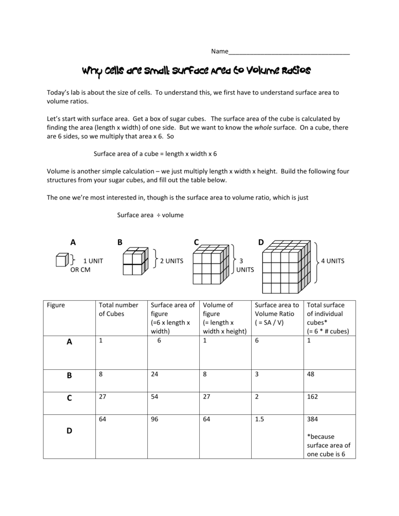 Why Cells are Small: Surface Area to Volume Ratios