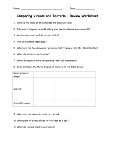 Comparing Viruses and Bacteria – Review Worksheet (1)