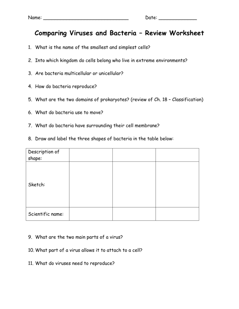 Comparing Viruses and Bacteria – Review Worksheet (20) Within Virus And Bacteria Worksheet Answers