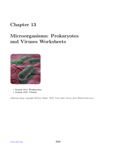 1: Chapter 13 Microorganisms: Prokaryotes and Viruses Worksheets