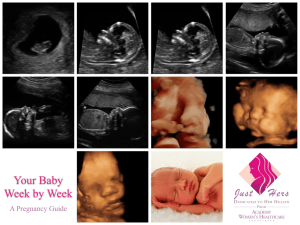 'Your Baby Week by Week'