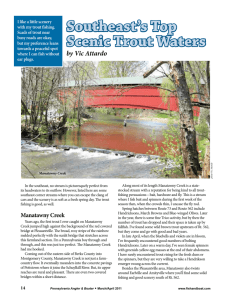 Southeast's Top Scenic Trout Waters by Vic Attardo
