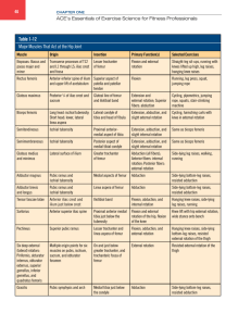 Table 1-12 Major Muscles That Act at the Hip Joint