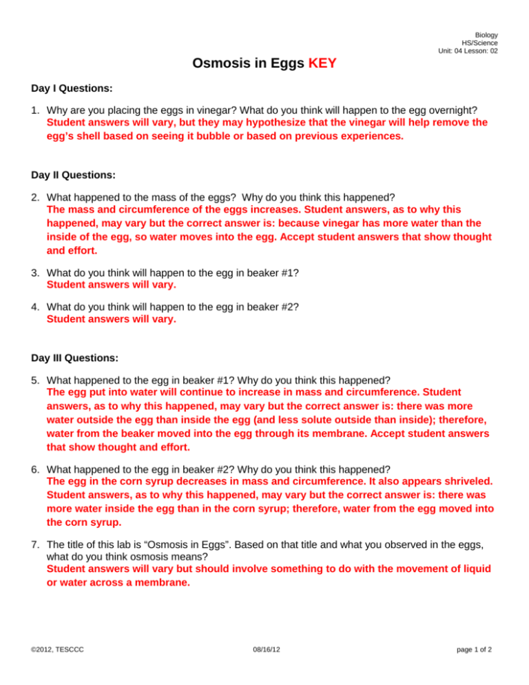 Osmosis In Eggs KEY
