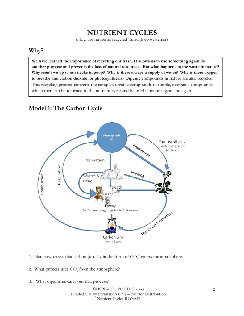 Nutrient Packet Answers 11 Throughout Nutrient Cycles Worksheet Answers