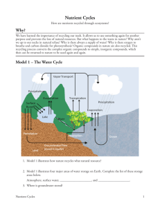 22 Nutrient Cycles