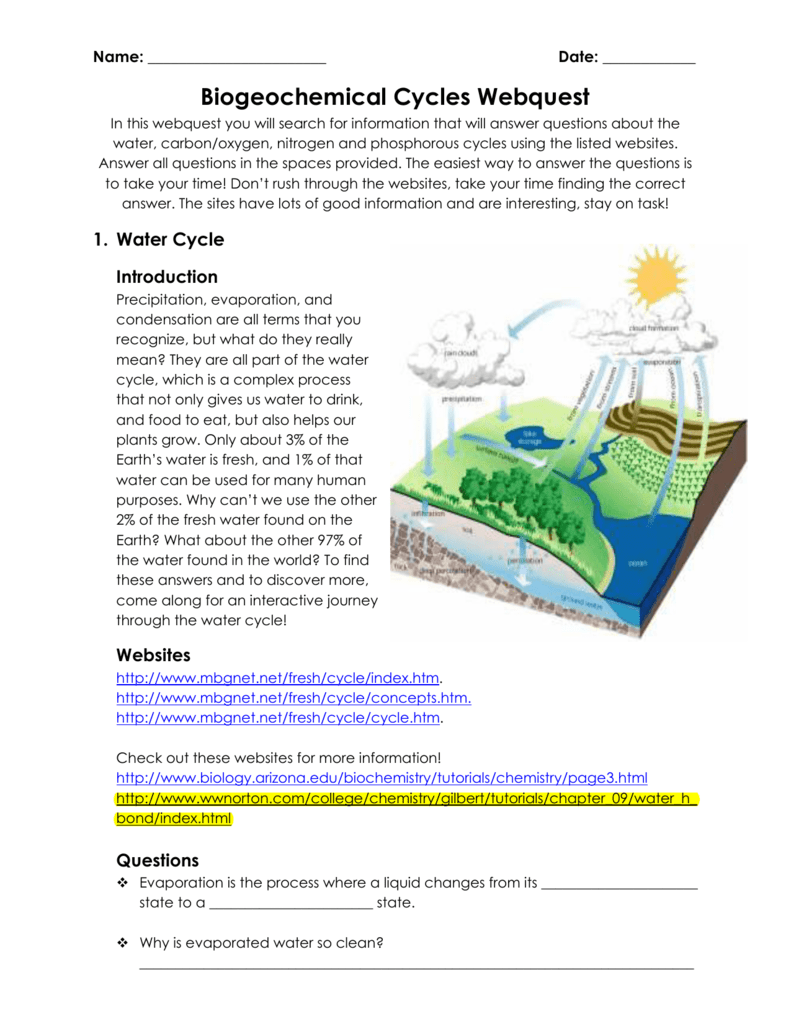 Biogeochemical Cycles Webquest